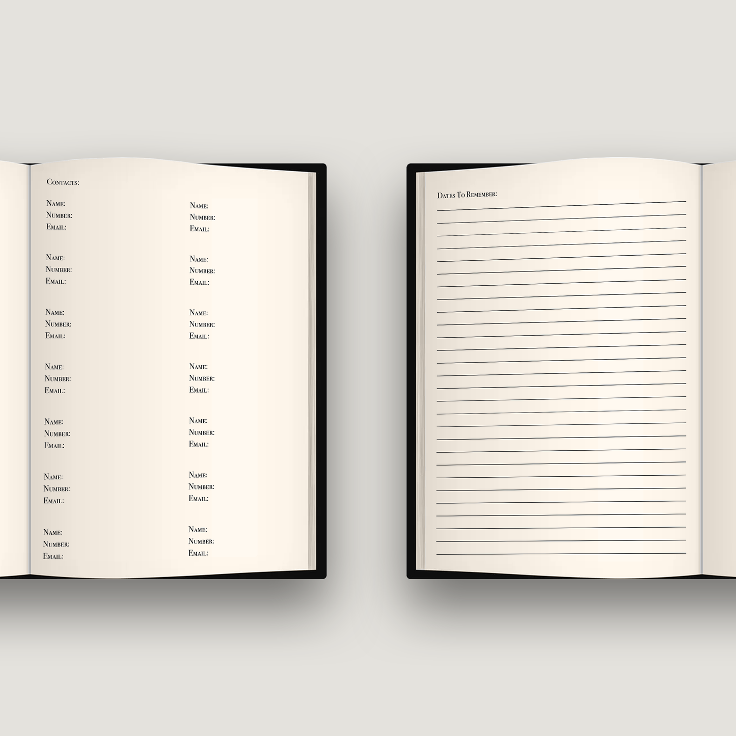 Lawyer's Ledger